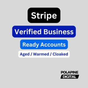 Stripe Verified Business Accounts